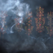 Divine Manifestationç¥žçµçš„æ˜¾çŽ°