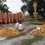 Nine Emperor Gods Festival 2008<br>2008å¹´ä¹çš‡å¤§å¸åƒç§‹åœ£è¯žèŠ‚æ—¥