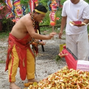 Nine Emperor Gods Festival 2008<br>2008å¹´ä¹çš‡å¤§å¸åƒç§‹åœ£è¯žèŠ‚æ—¥