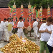 Nine Emperor Gods Festival 2008<br>2008å¹´ä¹çš‡å¤§å¸åƒç§‹åœ£è¯žèŠ‚æ—¥