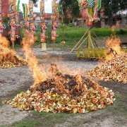 Nine Emperor Gods Festival 2008<br>2008å¹´ä¹çš‡å¤§å¸åƒç§‹åœ£è¯žèŠ‚æ—¥