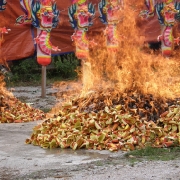 Nine Emperor Gods Festival 2008<br>2008å¹´ä¹çš‡å¤§å¸åƒç§‹åœ£è¯žèŠ‚æ—¥