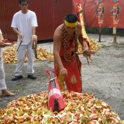 Nine Emperor Gods Festival 2008<br>2008å¹´ä¹çš‡å¤§å¸åƒç§‹åœ£è¯žèŠ‚æ—¥