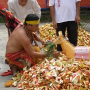 Nine Emperor Gods Festival 2008<br>2008å¹´ä¹çš‡å¤§å¸åƒç§‹åœ£è¯žèŠ‚æ—¥