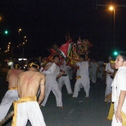 Nine Emperor Gods Festival 2008<br>2008å¹´ä¹çš‡å¤§å¸åƒç§‹åœ£è¯žèŠ‚æ—¥